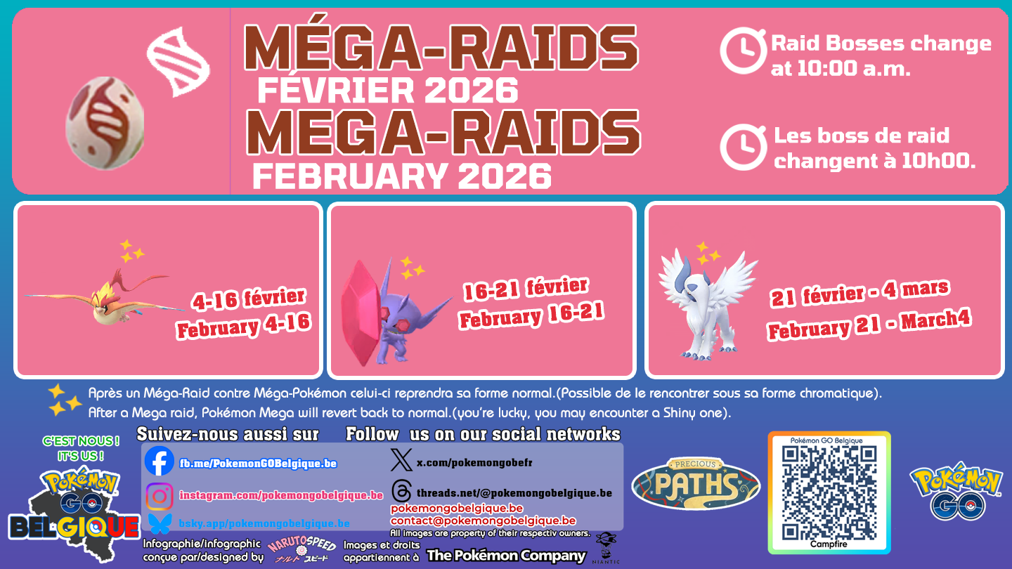 Mega-Raids